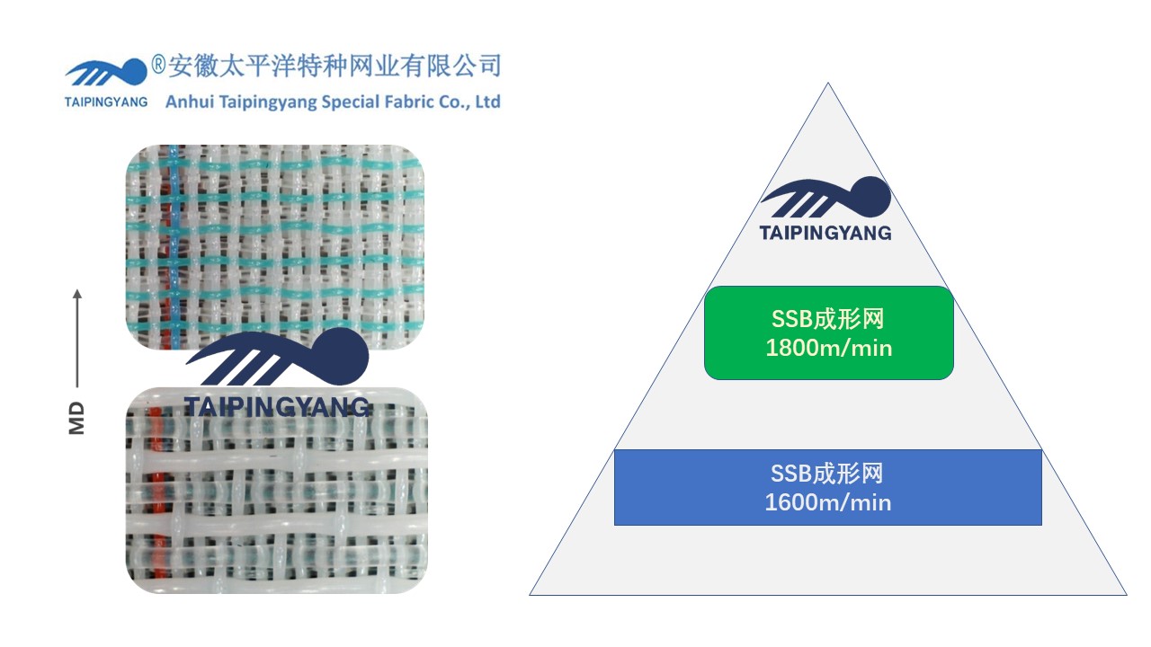 迈进高速-薄页纸成形网的应用